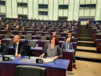 SABINA ĆUDIĆ U VIJEĆU EVROPE: 'Drage kolege, imam pitanje za vas, da li se sjećate gdje ste bili...'