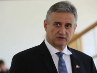 PREPUCAVANJA U SUSJEDSTVU: Karamarko Daliju Orešković usporedio sa žabom krastačom, usput napao i Plenkovića