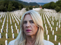 CVIJANOVIĆ U PANICI ZBOG REZOLUCIJE O SREBRENICI: Pisala svim misijama, delegacijama i organima UN-a zbog 'manipulativnih okolnosti'