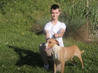 IZ SRCA SREDNJE BOSNE: Pas iz Viteza proglašen najljepšim na svijetu