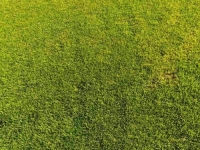 SITUACIJA U MOSTARU IZMIČE KONTROLI: Stadion Rođenih tokom noći dronom posut kiselinom