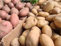 ZNATE LI ŠTA JEDETE: Crveni luk iz Njemačke, krompir i bijeli luk iz Egipta i poljske jabuke, preplavili tržnice u BiH, koštaju...