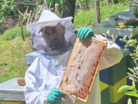 PRIRODNI POTENCIJAL PODRINJSKOG KRAJA: Analize pokazale da je med s područja Srebrenice najkvalitetniji