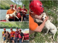 TO SE ZOVE HUMANOST: Hrabri Mostarci spasili psa koji je ostao zaglavljen na stijenama