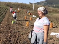 OVO JE NAJSLOŽNIJE SELO U BiH: Jedni drugima pomažemo u svemu, a i kako bi drugačije? (VIDEO)