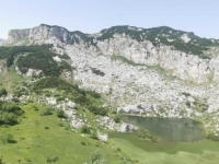 ČUDO NA TRESKAVICI: Po prvi put pronađena ugrožena životinjska vrsta (FOTO, VIDEO)