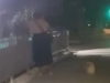 JOŠ JEDAN PRIMJER VANDALIZMA U SARAJEVU: Žena uništava žardinjere sa cvijećem u Sarajevu (VIDEO)