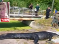 ZASTRAŠUJUĆI SNIMAK IZ AMERIKE: Aligator ubio i progutao 41-godišnju ženu... (FOTO, VIDEO)