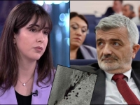 ZASTUPNICA DF-a KRITIKOVALA MANDIĆA: 'E, ako se ponosite ovim prljavim i neuslovnim prostorima, aferim načelniče!' (FOTO)