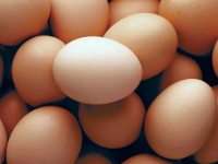 ISKORIŠTENE KVOTE: EU najavljuje carine na uvoz jaja iz Ukrajine