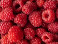 PODRŠKA IZ FEDERALNOG BUDŽETA: Proizvođačima malina isplaćeno skoro milion KM