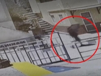 U ŠPILJI NA OSTRVU PRONAĐENO TIJELO: 'Da, mogu potvrditi da je riječ o britanskoj TV zvijezdi'