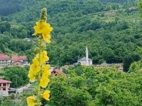 ČOVIĆEVI MEDIJI PREDNJAČILI SU U OSUDAMA: Sud presudio da su kleveta tvrdnje Zvonimira Trlina da je džamija u Donjem Selu protupravno izgrađena na njegovom zemljištu