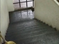 POSLIJE VELIKIH KIŠA U GLAVNOM GRADU SRBIJE: Poplavljen stadion Partizana, hodnik i istočni dio...