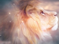 POČINJE MOĆNA VLADAVINA LAVA: Tri horoskopska znaka će ovaj astrološki mjesec smatrati posebno radosnim