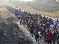 U POTRAZI ZA BOLJIM ŽIVOTOM: Na stotine migranata krenulo ka granici Meksika i SAD kako bi je prešli prije izbora