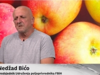 NEDŽAD BIĆO O STANJU U POLJOPRIVREDI: 'Isplata poticaja najvažnija, nadam se da neće biti protesta'