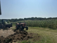 UPRKOS VISOKIM TEMPERATURAMA: Poljoprivrednici Brčko Distrikta zadovoljni rodom kukuruza