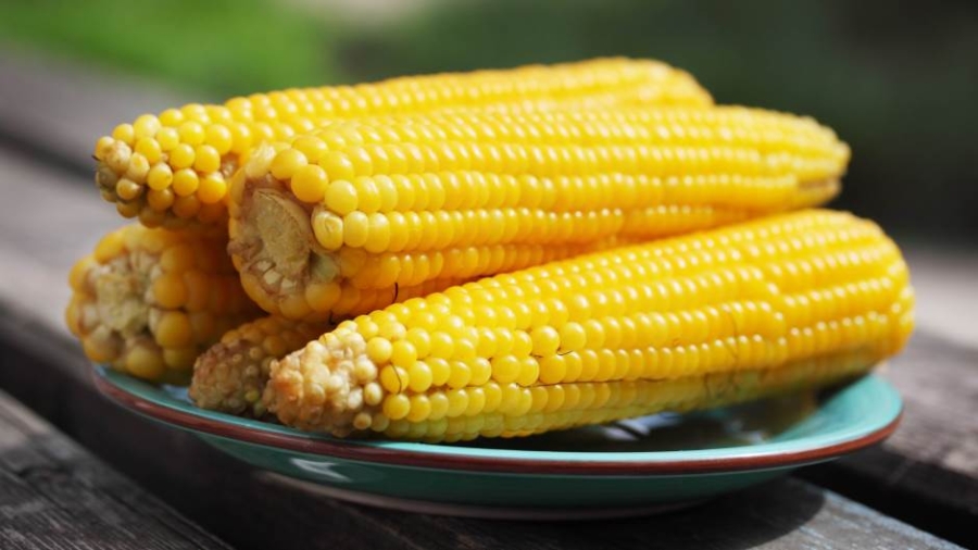 AFTERNOON GASTRO TIPS: Prepare dinner corn like this, it will likely be juicy and comfortable; As a substitute of simply in water, attempt it…