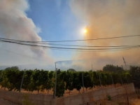 GORI VATRA; I DALJE SU AKTIVNI POŽARI NA PODRUČJU MOSTARA: U poslijepodnevnim satima izbio je i...