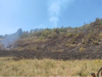 NAŽALOST, MORAJU NAM TO CRTATI: Vatrogasci apeluju na građane da ne pale vatru na otvorenom