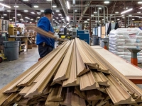 DOMAĆA DRVNA INDUSTRIJA ODLIČNO STOJI: U prvom polugodištu suficit veći od  pola milijarde KM