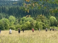 ZADNJI PUT VIĐEN U NEDJELJU: U toku potraga za nestalim Alijom Selimbašićem, otišao da čuva stoku i nije se vratio
