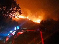 LOKALIZOVAN POŽAR NA CRNOGORSKOM PRIMORJU: Vatrena stihija se pola sata nakon ponoći razbuktala...