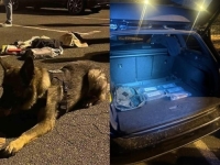 OTKRIO GA POLICIJSKI PAS: Državljanin BiH uhapšen u Rijeci sa više od pet kilograma kokaina