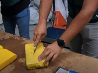 KRAJNJE ODREDIŠTE BILA SLOVENIJA: Zaplijenjeno čak 289 kg kokaina Balkanskog kartela u Španiji (VIDEO)