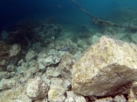NEOBIČNA RIBA POJAVILA SE U JADRANU: Inače živi u istočnom Atlantiku