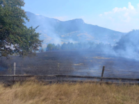 BORBA S POŽARIMA NA PALAMA I NA SOKOCU: 'Uz ogromne napore, odbranili smo...'