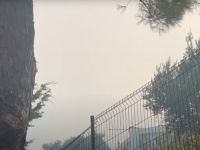 GORI I NA PODRUČJU OPŠTINE BUDVA: Požar je velikih razmjera i spušta se ka Jadranskoj magistrali