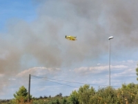 VATRENA STIHIJA U SUSJEDSTVU: Novi požari na jugu zemlje, gori na Pagu, ali i kod...
