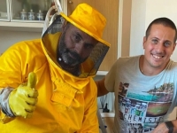 SARAJEVO MORA BITI NA OPREZU ZBOG OVOG: Rim se suočava s najezdom pacova, zmija i opasnih insekata