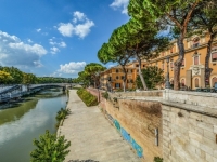 GRADSKE VLASTI SMIRUJU SITUACIJU: Rim se suočava s najezdom štakora, stršljena, zmija