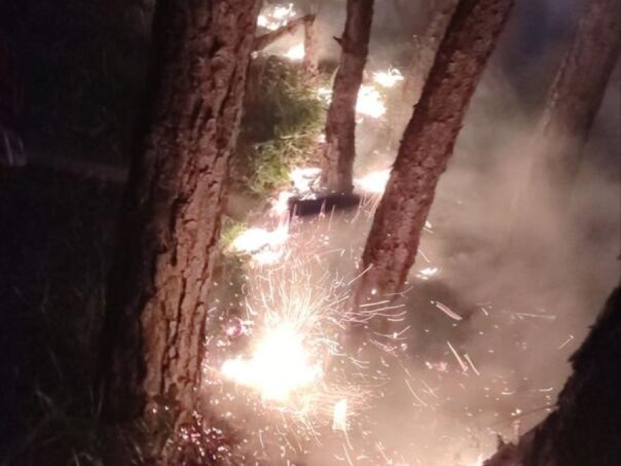 Upozorio je da je situacija na požarištima u srebreničkim selima koja gravitiraju ka području Parka i dalje ozbiljna