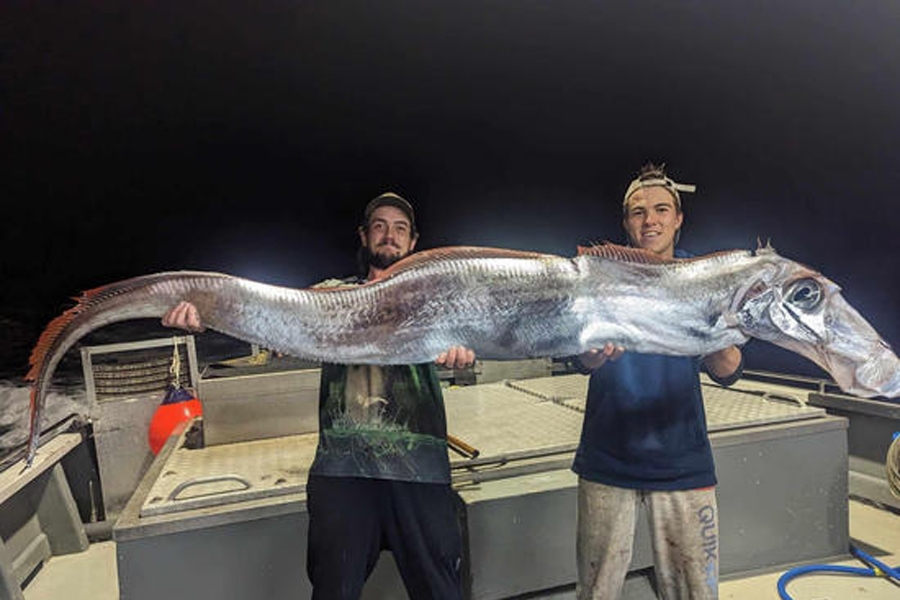 ČUDOVIŠTE IZ DUBINA: Dvojica ribara ulovili 'monstruma', fotografija je ...