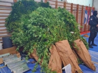 BIJELJINSKA POLICIJA U AKCIJI: Pronađena laboratorija za proizvodnju indijske konoplje, ima uhapšenih