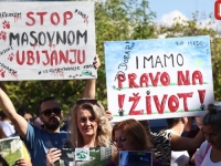 SARAJLIJE SE POBUNILE ZBOG UBIJENOG PSA MEDE: 'Napustio si ovaj surovi svijet okovan strahom, bolom i patnjom'  (FOTO)