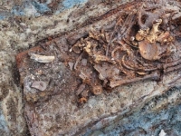 SENZACIONALNO ARHEOLOŠKO OTKRIĆE U SUSJEDSTVU: Otkriven sarkofag s 'vampirom' - 'Umjesto ljudske ima konjsku glavu'