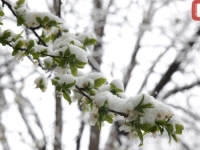 STIŽE PRVI SNIJEG: Temperature u oštrom padu, evo gdje će, kada i koliko padati…
