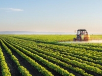 JEDAN OD NAJVEĆIH FARMERA U DRŽAVI UPOZORAVA: 'Hrana će biti skuplja, sva Posavina je izgorjela, pogotovo je...'
