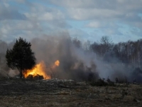 NE ZNA SE UZROK POŽARA: Gori šuma kod Černobila, angažirano više od 200 vatrogasaca