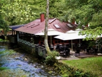KO SMIJE SRUŠITI BUDNJINOG 'LABUDA': Restoran nekadašnjeg utjecajnog člana SDA ugrožava Vrelo Bosne i zdravlje građana