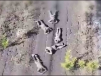 UZNEMIRUJUĆI PRIZOR: Pogledajte kako su Rusi pobili vlastite vojnike (VIDEO)