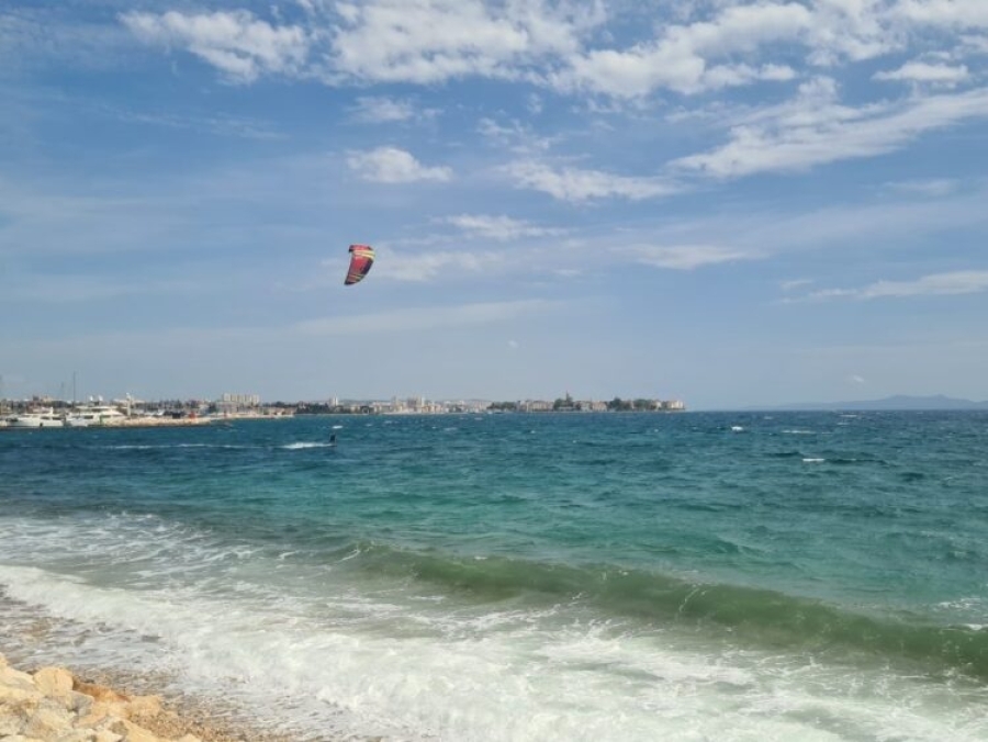 Deadly Tides Rising: The Adriatic’s Toxic Fish Invasion – A Growing Nightmare