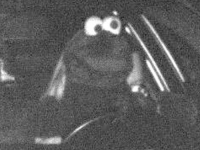 NARUGAO SE KAMERI ZA BRZINU, POLICIJA GA TRAŽI: Nosio je masku na glavi, a kada ga identifikuju...