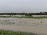 HRVATSKA SE SPREMA ZA UDARE NEVREMENA: Sava izlazi iz korita, Zrmanja je opasno nabujala, vanredna situacija i u...