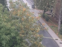 TRAGEDIJA U SARAJEVU: U saobraćajnoj nesreći smrtno stradala pješakinja